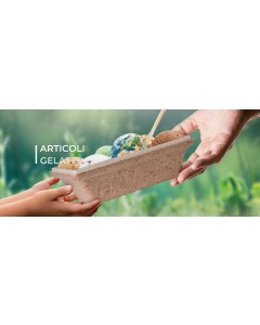 Vaschetta termica per gelato bio geogel 1000 gr pz.60