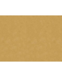 Tovaglietta in carta paglia 30x40 pz.1000